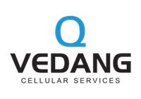 Vedanglogo-01
